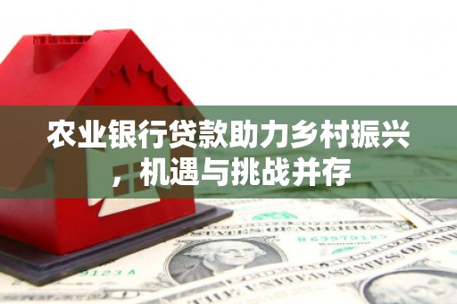腾冲农业银行贷款助力乡村振兴，机遇与挑战并存
