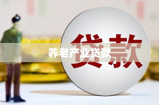 学甲养老产业贷款
