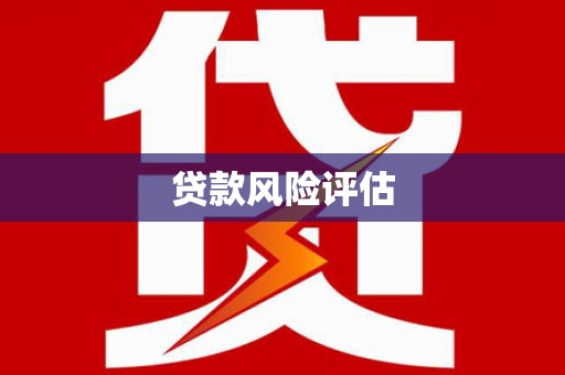 万全贷款风险评估