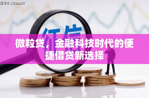 城中微粒贷，金融科技时代的便捷借贷新选择