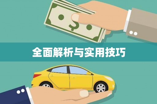 苑里全面解析与实用技巧