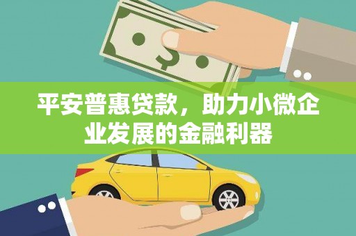 伍家岗平安普惠贷款，助力小微企业发展的金融利器