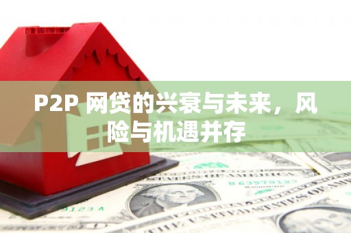 武平P2P 网贷的兴衰与未来，风险与机遇并存