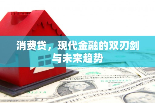 洛南消费贷，现代金融的双刃剑与未来趋势