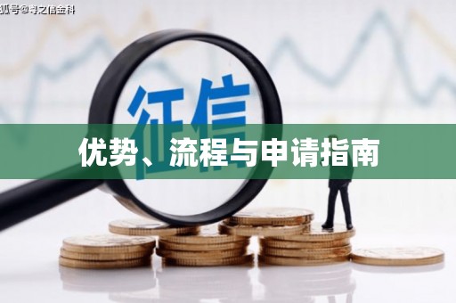 丰滨优势、流程与申请指南