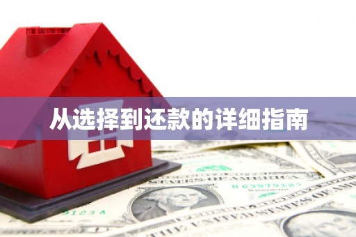 天峨从选择到还款的详细指南