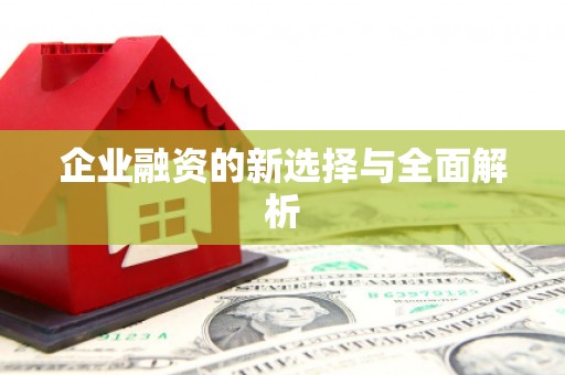 依兰企业融资的新选择与全面解析